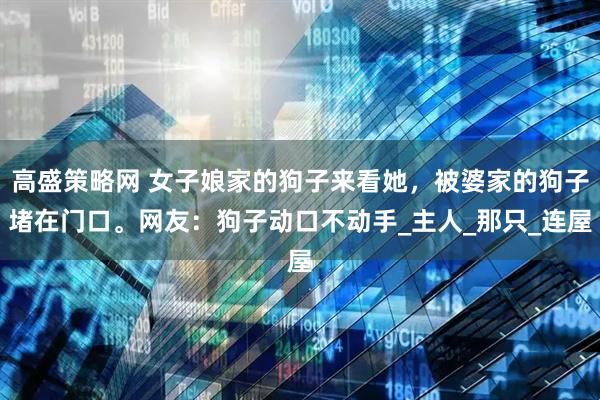 高盛策略网 女子娘家的狗子来看她，被婆家的狗子堵在门口。网友：狗子动口不动手_主人_那只_连屋