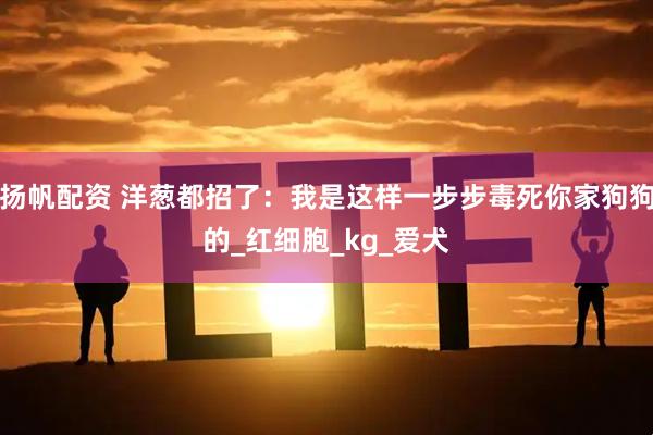 扬帆配资 洋葱都招了：我是这样一步步毒死你家狗狗的_红细胞_kg_爱犬